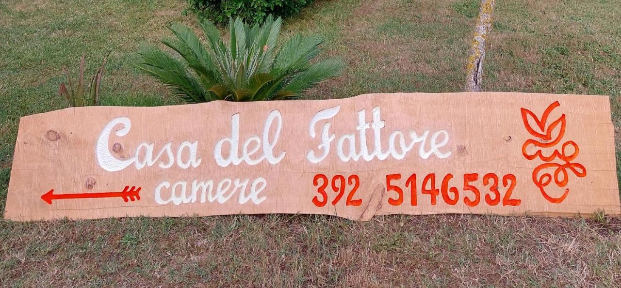 Casa Del Fattore Osimo Exterior foto